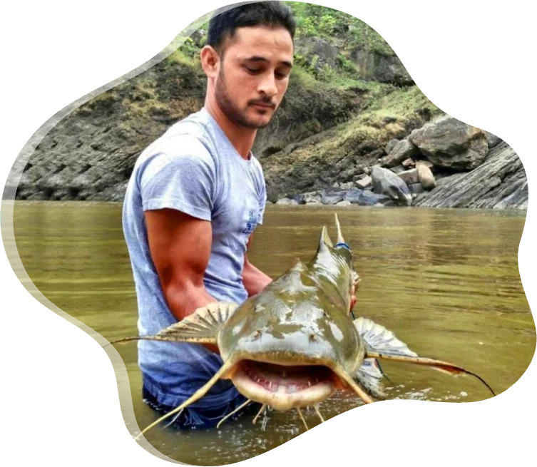 catfish