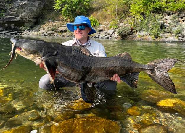 Giant-Devil-Catfish