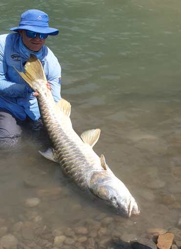 fish-img-2