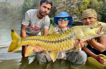 fish-img-4