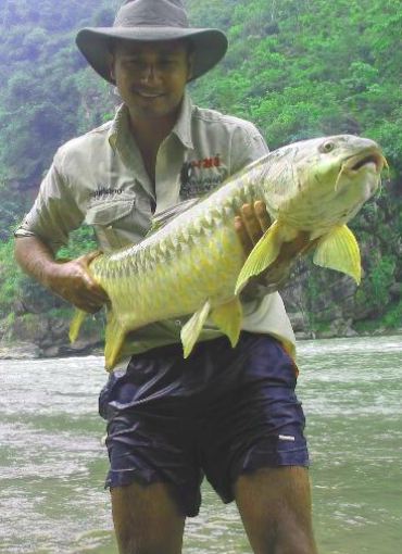 home-gallery-1-370x510 (1) (1)