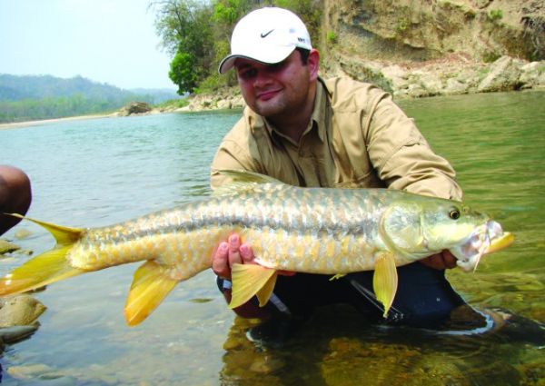 Himalayan Golden Mahseer Fishing - Pancheshwar Fishing Himalayan-Golden-Mahseer-Fishing-Pancheshwar-Fishing