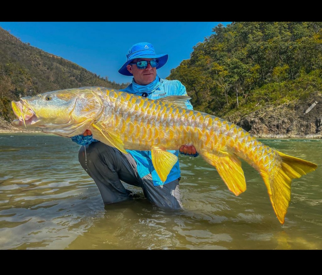 Himalayan-Golden-Mahseer-Fishing-Pancheshwar-Fishing