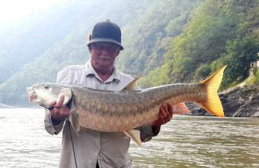 fish-img-3ds1