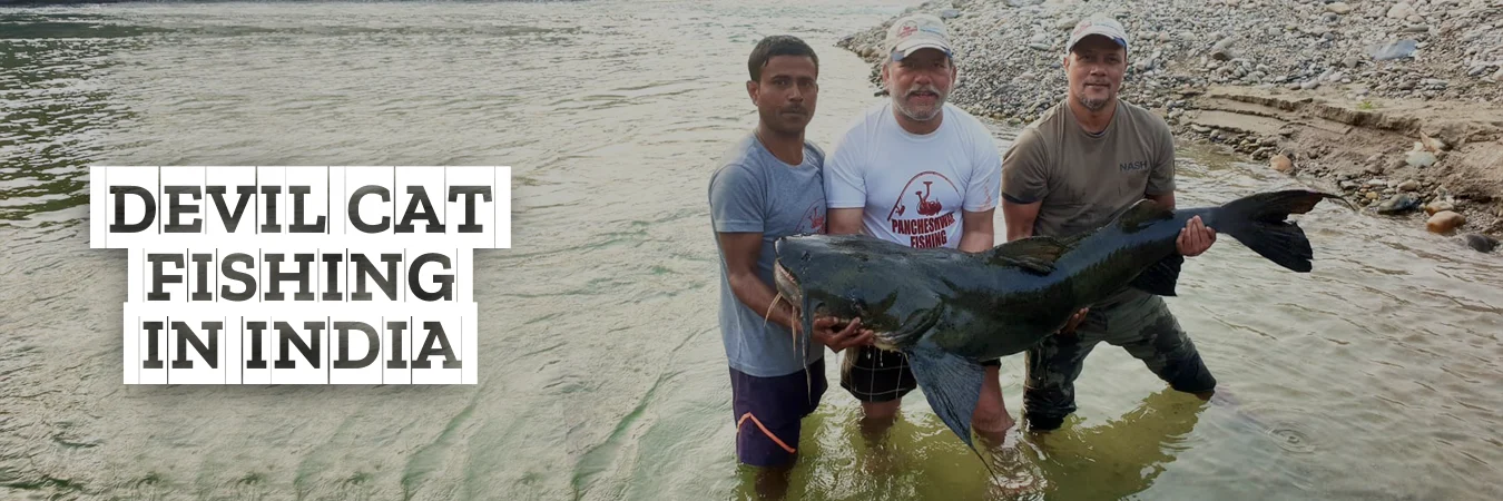 Devi Cat fishing in India - pancheshwarfishing