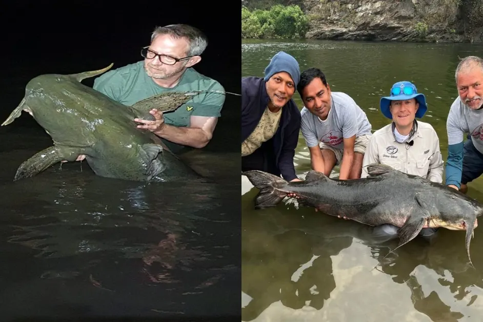 Goonch Fishing in India