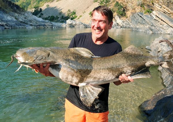 2-fish