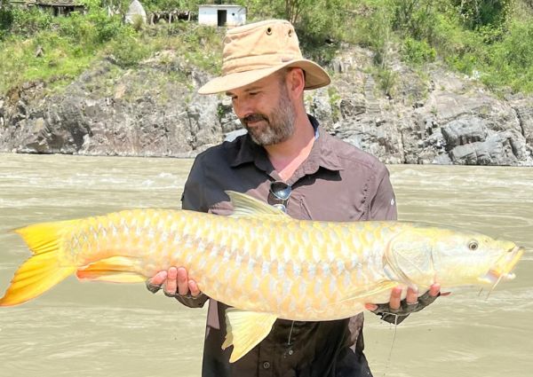 4-fish
