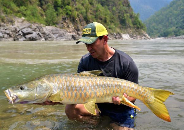 5-fish