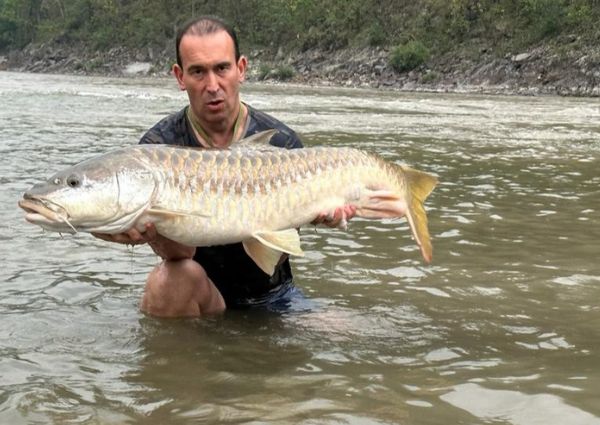 7-fish