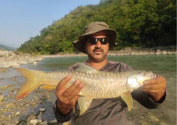 8-fish