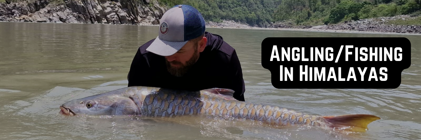 AnglingFishing In Himalayas Angling In Himalayas